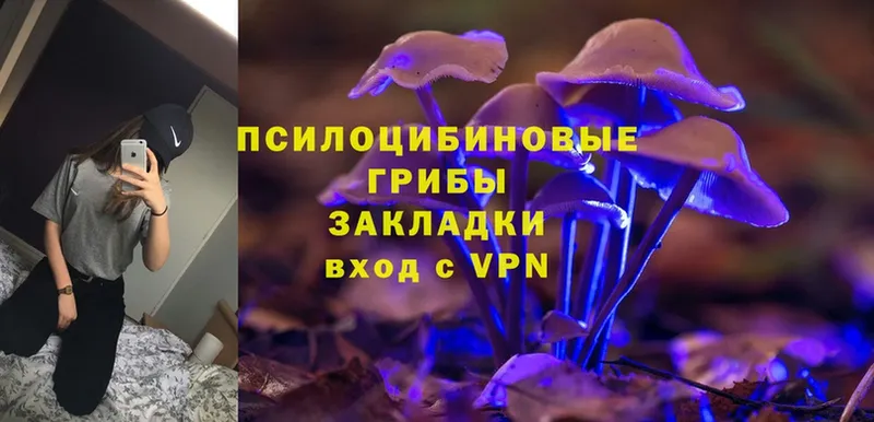 закладка  MEGA зеркало  Галлюциногенные грибы MAGIC MUSHROOMS  Рыбное 